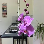 Home Life Rome
