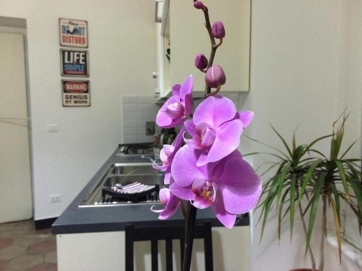Home Life Rome Holiday home *